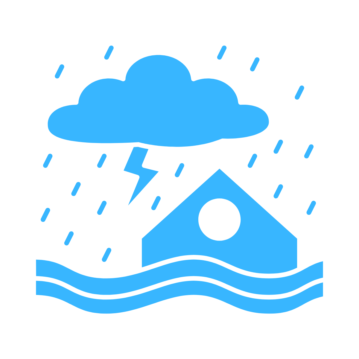 natural disaster icon